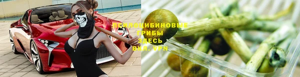 гидра Вязники