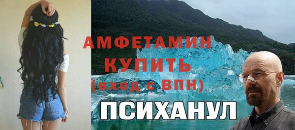 гидра Вязники