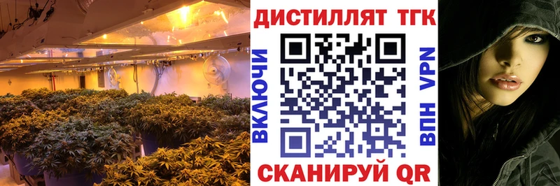 где купить   Снежинск  мега зеркало  Дистиллят ТГК THC oil 