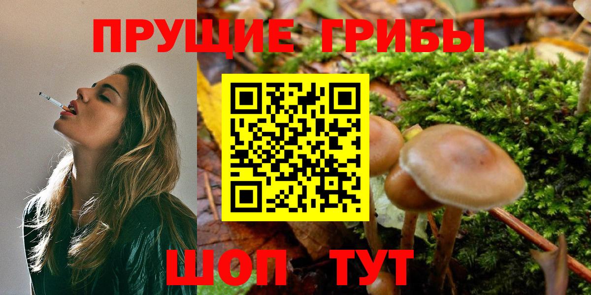 где продают   Псилоцибиновые грибы Cubensis  Снежинск  Вход с VPN  Псилоцибиновые грибы Cubensis 